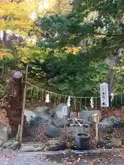 千歳神社の建物その他