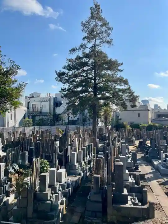 仙寿院の{uncategorized: "未分類", other: "その他", undefined: "問題あり", building: "その他建物", grave: "お墓", sacred_gate: "鳥居", guardian: "狛犬", statue: "像", buddha: "仏像", history: "歴史", nature: "自然", garden: "庭園", animal: "動物", pagoda: "塔", temizu: "手水舎", mountain_gate: "山門・神門", sanctuary: "本殿・本堂", subordinate: "末社・摂社", art: "芸術", scenery: "景色", jizo: "地蔵", ema: "絵馬", goshuin: "御朱印", omikuji: "おみくじ", items: "授与品その他", amulet: "お守り", goshuincho: "御朱印帳", eats: "食事", festival: "お祭り", votive_dance: "神楽", shichigosan: "七五三参", wedding: "結婚式", experience: "体験その他", initially: "初詣", around: "周辺", anti_infection: "感染症対策"}