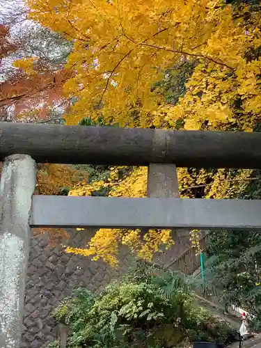 若宮八幡宮の鳥居