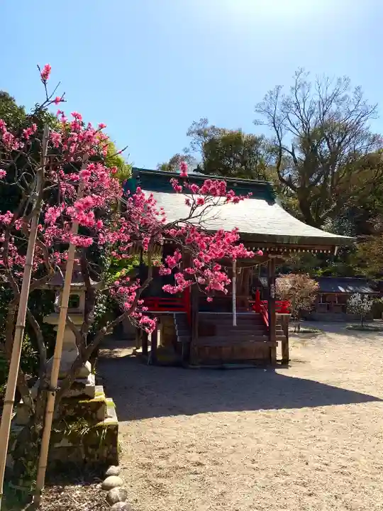 常宮神社の本殿・本堂