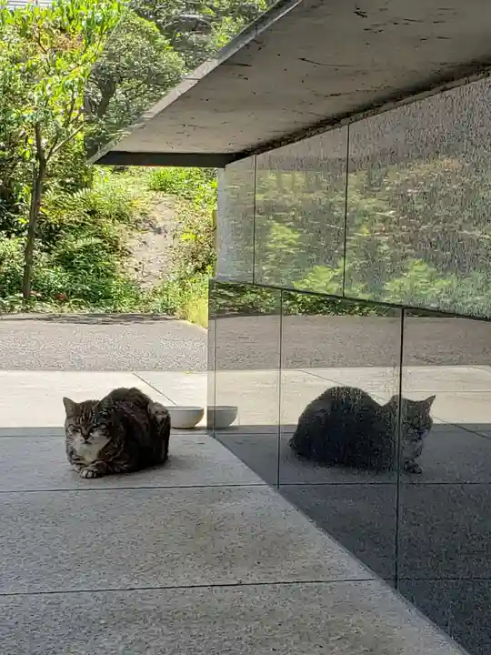 白金氷川神社(東京都)