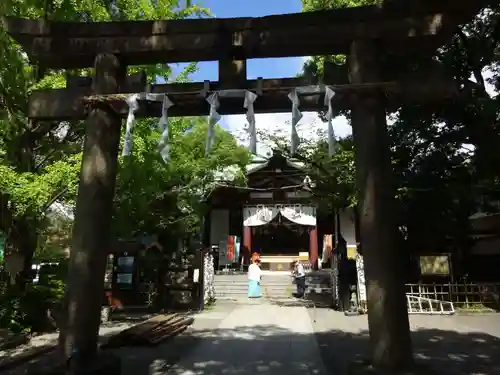 稲毛神社の鳥居