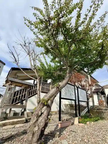 出雲大社函館教会の{uncategorized: "未分類", other: "その他", undefined: "問題あり", building: "その他建物", grave: "お墓", sacred_gate: "鳥居", guardian: "狛犬", statue: "像", buddha: "仏像", history: "歴史", nature: "自然", garden: "庭園", animal: "動物", pagoda: "塔", temizu: "手水舎", mountain_gate: "山門・神門", sanctuary: "本殿・本堂", subordinate: "末社・摂社", art: "芸術", scenery: "景色", jizo: "地蔵", ema: "絵馬", goshuin: "御朱印", omikuji: "おみくじ", items: "授与品その他", amulet: "お守り", goshuincho: "御朱印帳", eats: "食事", festival: "お祭り", votive_dance: "神楽", shichigosan: "七五三参", wedding: "結婚式", experience: "体験その他", initially: "初詣", around: "周辺", anti_infection: "感染症対策"}