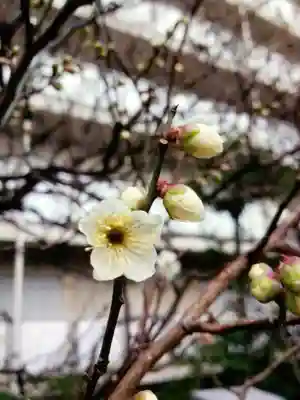 銀世界稲荷神社(東京都)