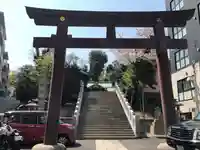 白金氷川神社の鳥居