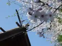 神明社の自然