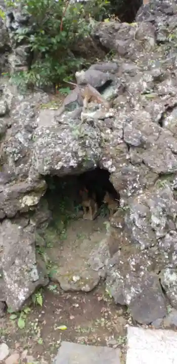 成田山横浜別院延命院の狛犬