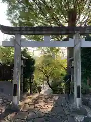 新羽杉山神社の鳥居