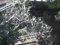 英勝寺のその他建物