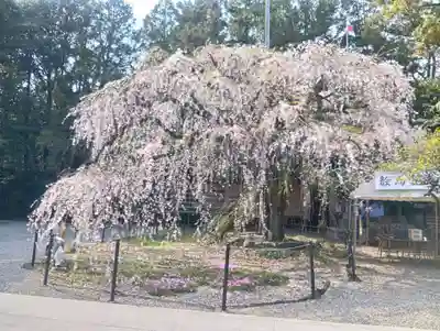 （長良）天神神社(岐阜県)