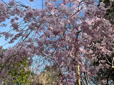 宗忠神社(京都府)