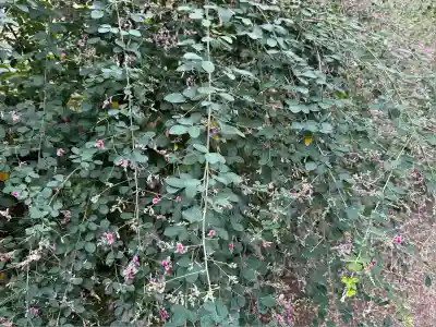 新薬師寺(奈良県)