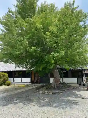 世尊寺(奈良県)