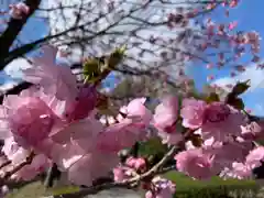 滑川神社 - 仕事と子どもの守り神の自然