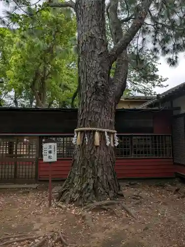前原御嶽神社の{uncategorized: "未分類", other: "その他", undefined: "問題あり", building: "その他建物", grave: "お墓", sacred_gate: "鳥居", guardian: "狛犬", statue: "像", buddha: "仏像", history: "歴史", nature: "自然", garden: "庭園", animal: "動物", pagoda: "塔", temizu: "手水舎", mountain_gate: "山門・神門", sanctuary: "本殿・本堂", subordinate: "末社・摂社", art: "芸術", scenery: "景色", jizo: "地蔵", ema: "絵馬", goshuin: "御朱印", omikuji: "おみくじ", items: "授与品その他", amulet: "お守り", goshuincho: "御朱印帳", eats: "食事", festival: "お祭り", votive_dance: "神楽", shichigosan: "七五三参", wedding: "結婚式", experience: "体験その他", initially: "初詣", around: "周辺", anti_infection: "感染症対策"}