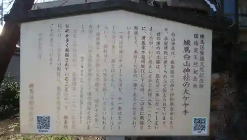白山神社の歴史