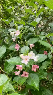大佐神社(岡山県)
