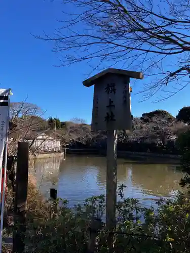 鶴岡八幡宮の庭園