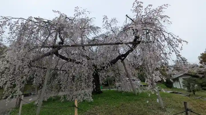 圓山稲荷(京都府)