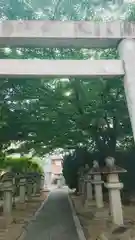 秋葉神社の鳥居