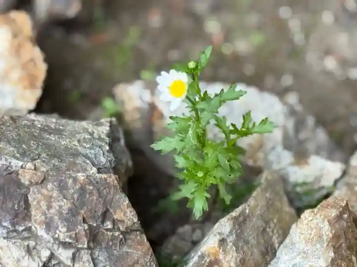西方山極楽寺(岐阜県)