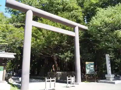 北海道神宮の鳥居