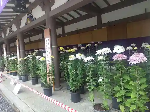 湯島天満宮(東京都)