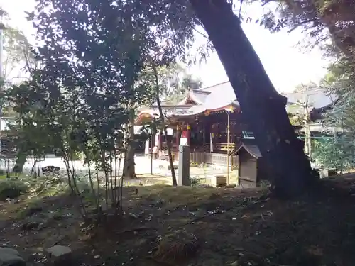 渋谷氷川神社の本殿・本堂