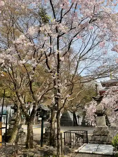 八事山 興正寺(愛知県)