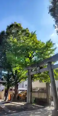 千住氷川神社(東京都)
