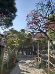 鳩森八幡神社の建物その他