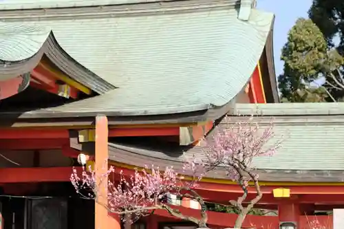 多治速比売神社の本殿