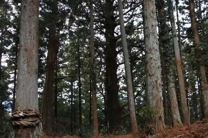 飯豊神社の自然