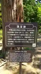 毛越寺の歴史