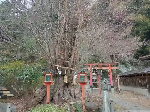 長等神社(滋賀県)