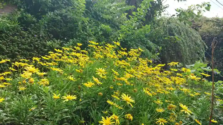 天王神社の自然
