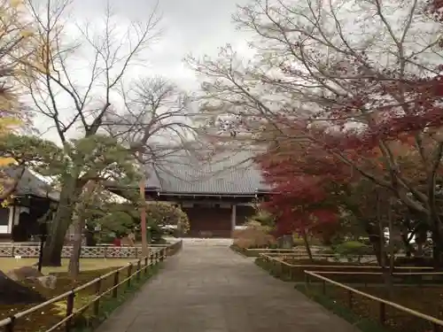 観泉寺の本殿