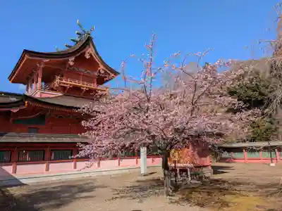 富士山本宮浅間大社(静岡県)