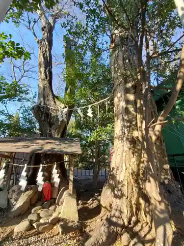 日吉神社のその他建物
