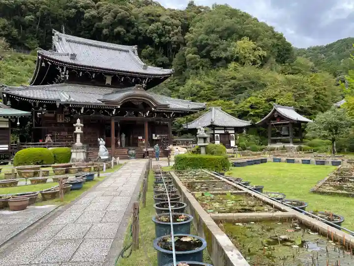 三室戸寺(京都府)