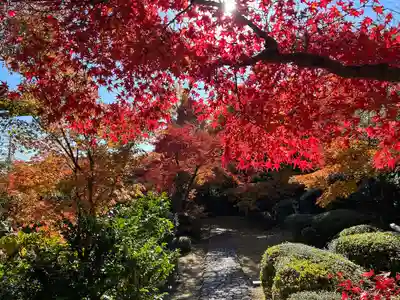 善法律寺(京都府)
