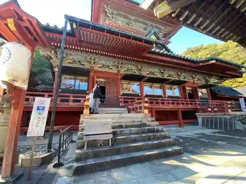 静岡浅間神社の本殿