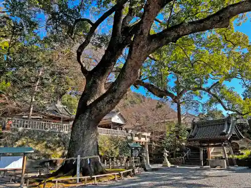 事任八幡宮の自然