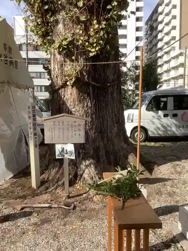 金山神社の自然
