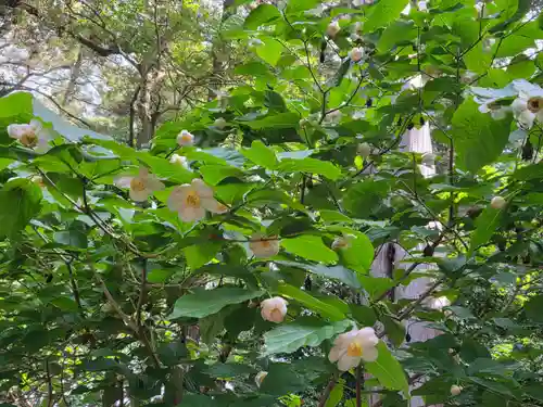 沙沙貴神社(滋賀県)