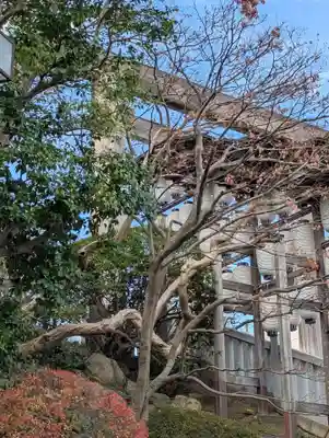 伊勢山皇大神宮(神奈川県)