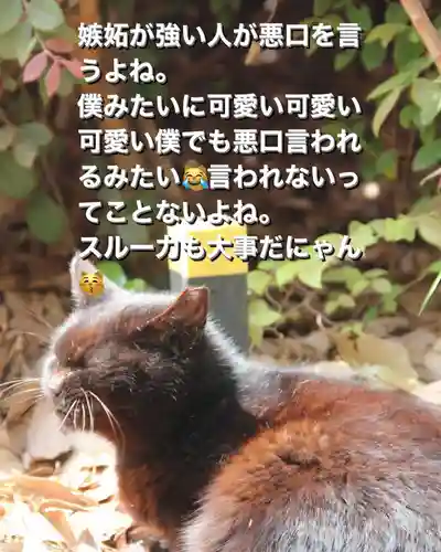 専念寺(大阪府)