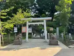 鳩森八幡神社の鳥居