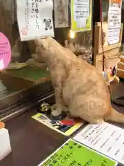 王子神社の動物