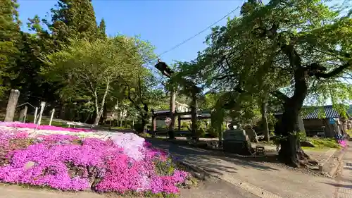 山家神社の自然